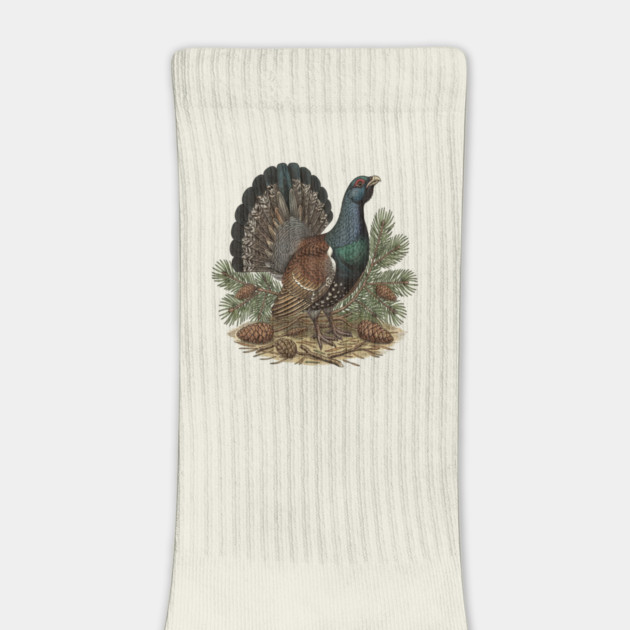 Capercaillie Pine Forest Wildlife Art by BirdsnStuff