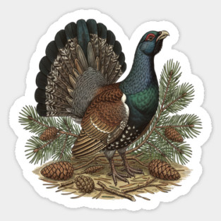 Capercaillie Pine Forest Wildlife Art Magnet
