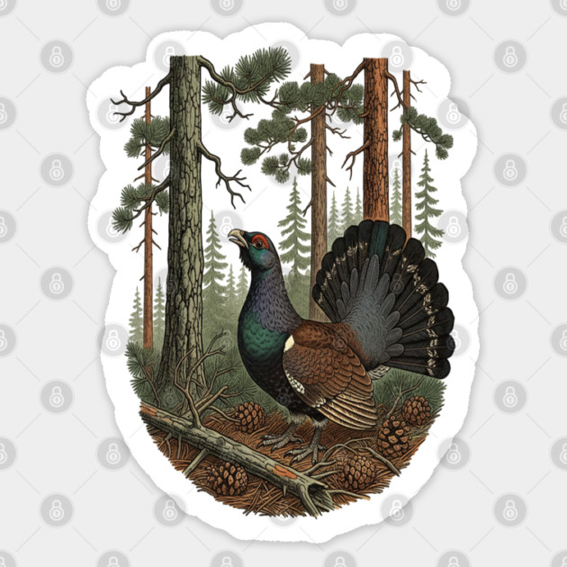 Evergreen Capercaillie Forest Art Sticker by BirdsnStuff