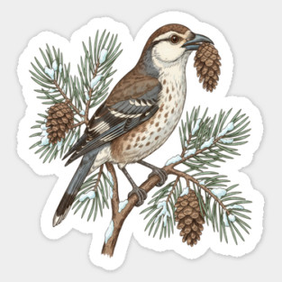 Nutcracker Pine Cone Botanical Art Magnet