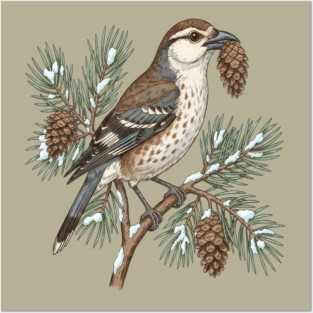 Nutcracker Pine Cone Botanical Art Posters and Art