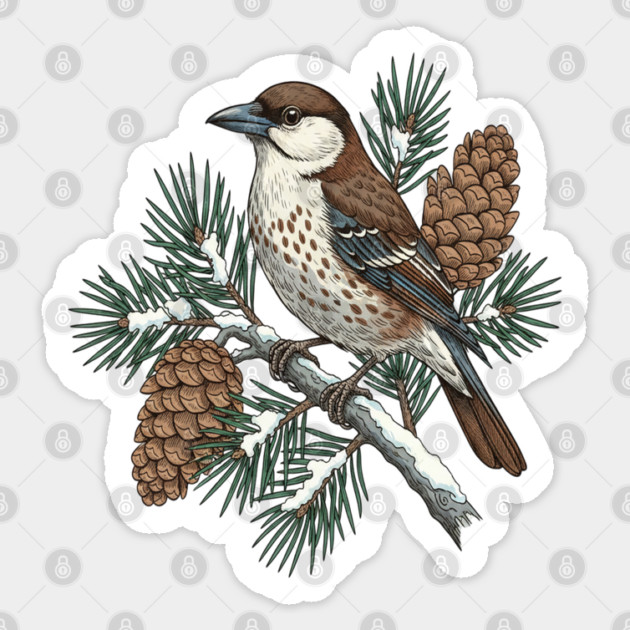 Nutcracker Pine Cone Wildlife Art Sticker by BirdsnStuff