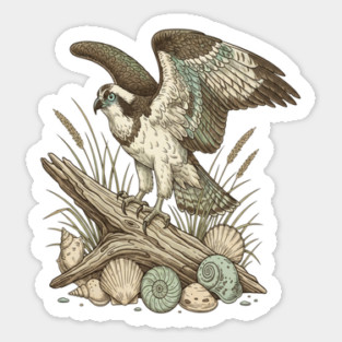 Osprey Driftwood Coastal Art Sticker