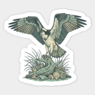 Osprey Seashell Coastal Wildlife Art Sticker