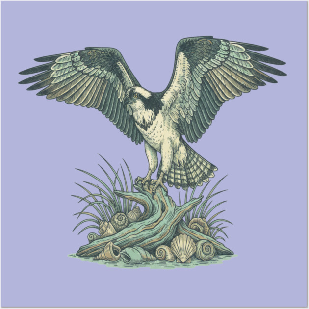 Osprey Seashell Coastal Wildlife Art Wall Art by BirdsnStuff