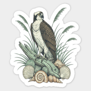 Osprey Nautical Shoreline Art Magnet