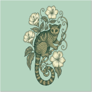 Kinkajou Jungle Vine Wildlife Art Posters and Art