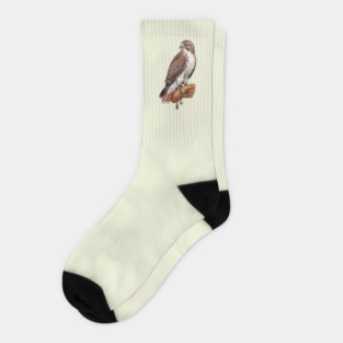 Falconer Hawk Wildlife Art Socks