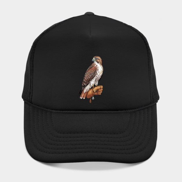 Falconer Hawk Wildlife Art by BirdsnStuff