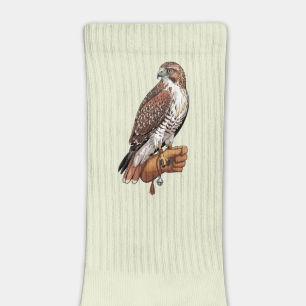 Falconer Hawk Wildlife Art by BirdsnStuff