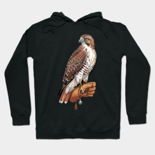Falconer Hawk Wildlife Art Hoodie