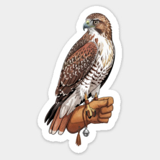 Falconer Hawk Wildlife Art Sticker