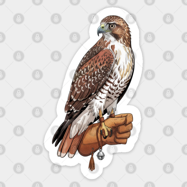 Falconer Hawk Wildlife Art Sticker by BirdsnStuff