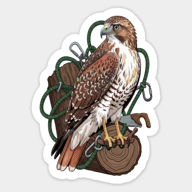 Arborist Hawk Outdoor Wildlife Art Magnet by BirdsnStuff