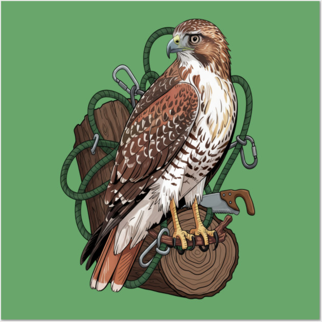 Arborist Hawk Outdoor Wildlife Art Wall Art by BirdsnStuff