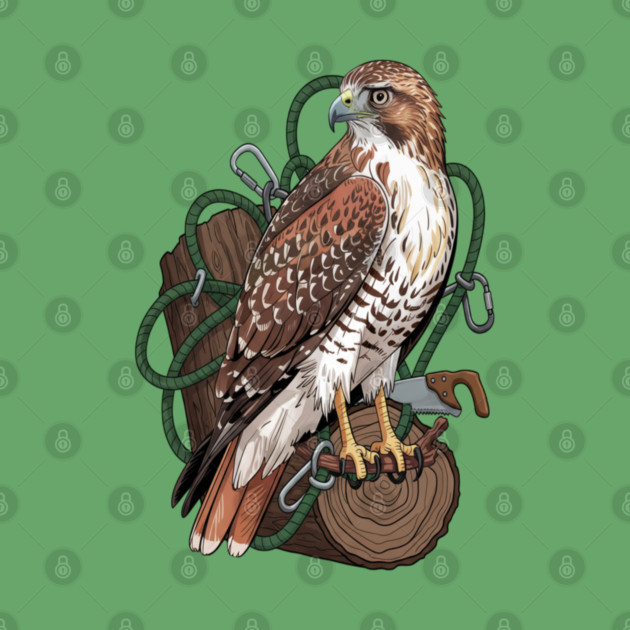 Arborist Hawk Outdoor Wildlife Art by BirdsnStuff