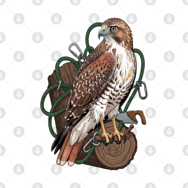 Arborist Hawk Outdoor Wildlife Art by BirdsnStuff