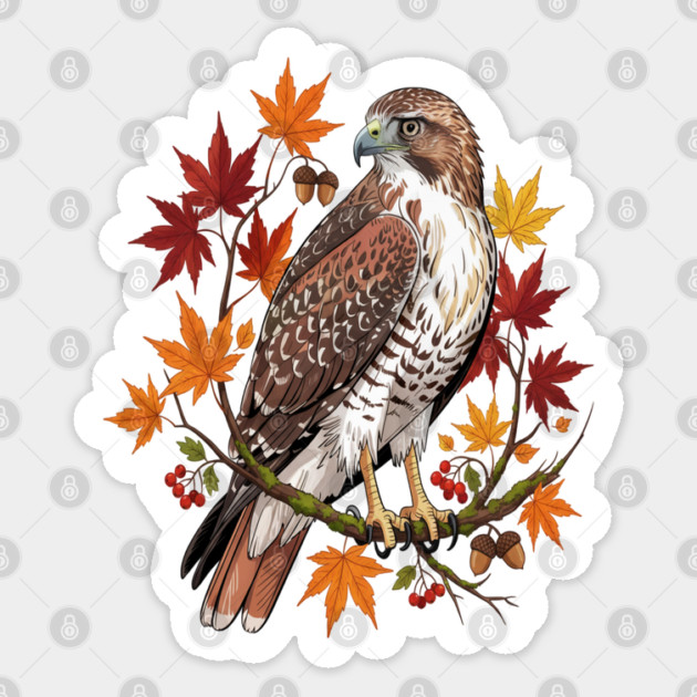 Autumn Maple Hawk Wildlife Art Sticker by BirdsnStuff