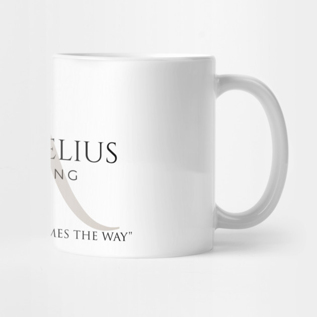 Marcus Aurelius Philosopher King by Jerry