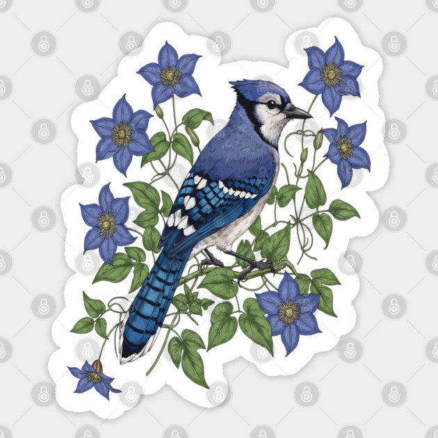 Blue Jay Woodland Songbird Sticker by BirdsnStuff
