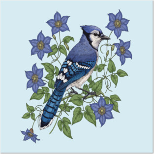 Blue Jay Woodland Songbird Posters and Art