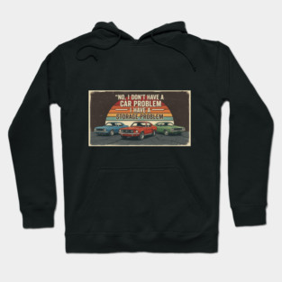 No-I-Don't-Have-a-car-Problem-I-Have-a-Storage-Problem Hoodie