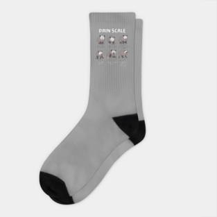 Pain Scale Socks
