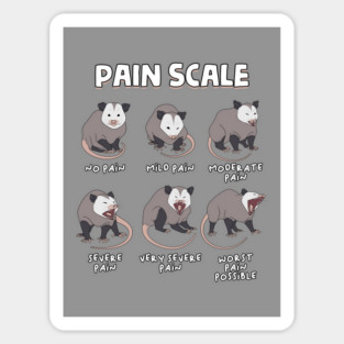 Pain Scale Magnet