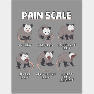 Pain Scale Posters and Art