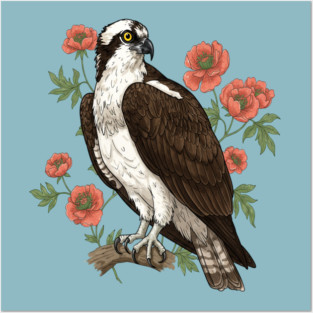 Osprey with Coral Blossoms Bird Art Posters and Art