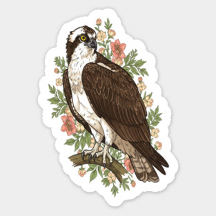 Cottagecore Osprey Floral Wildlife Art Magnet
