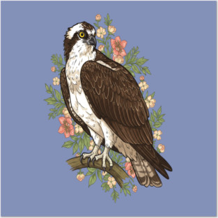 Cottagecore Osprey Floral Wildlife Art Posters and Art