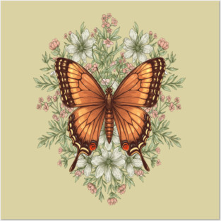 Vintage Butterfly Floral Illustration Posters and Art