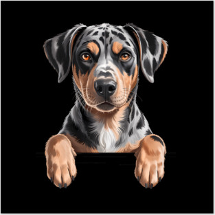 Catahoula Leopard Dog Peeking Pup Posters and Art