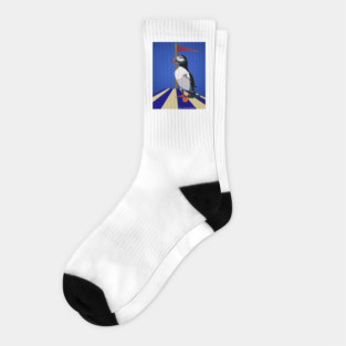 Circus Puffin Socks