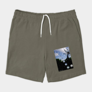 Passing Thru The Forest Of Stars Shorts