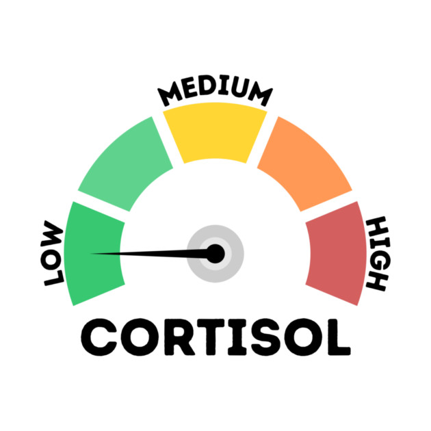 Low Cortisol Level by The WYLD Tribe