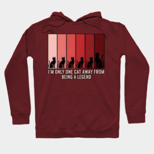 I'M ONLY ONE CAT AWAY FROM BEING A LEGEND. Hoodie