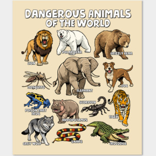 Dangerous Animals of the World Posters and Art