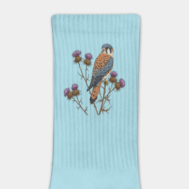 American Kestrel Wildlife Bird by BirdsnStuff