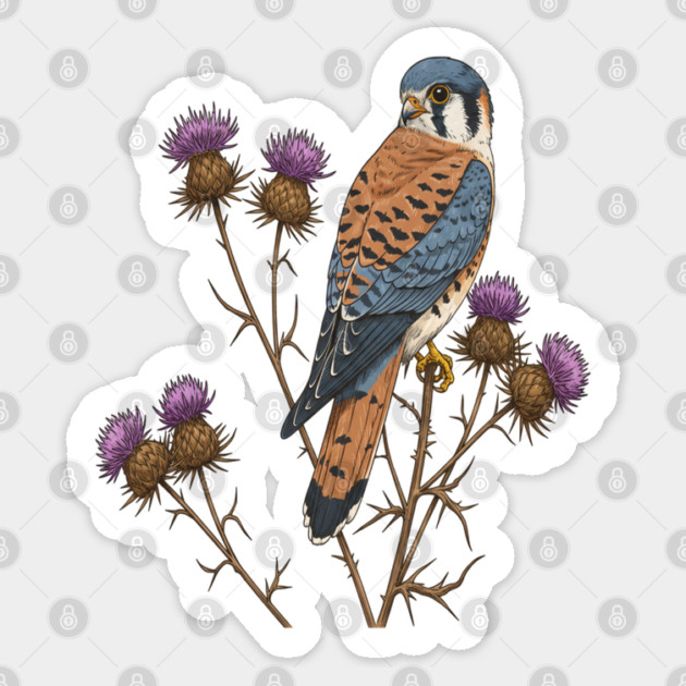 American Kestrel Wildlife Bird Sticker by BirdsnStuff