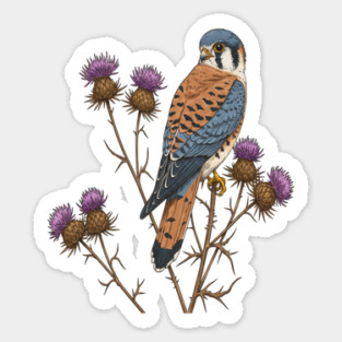 American Kestrel Wildlife Bird Magnet