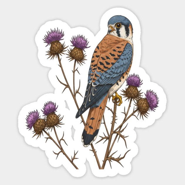 American Kestrel Wildlife Bird Magnet by BirdsnStuff