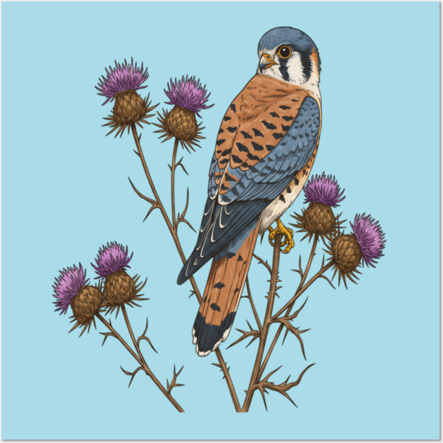 American Kestrel Wildlife Bird Wall Art by BirdsnStuff