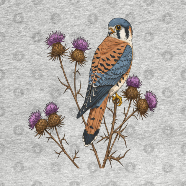 American Kestrel Wildlife Bird by BirdsnStuff