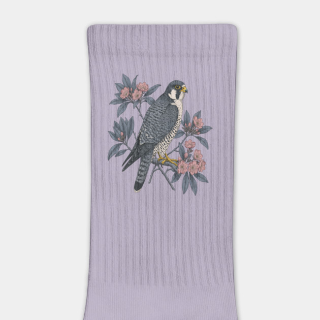 Peregrine Falcon Wildlife Bird by BirdsnStuff