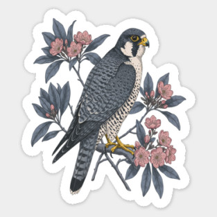 Peregrine Falcon Wildlife Bird Sticker