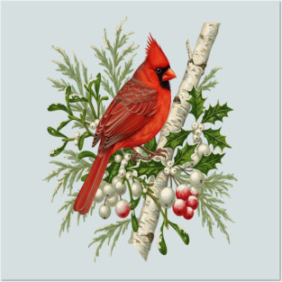 Northern Cardinal Winter Bird Posters and Art