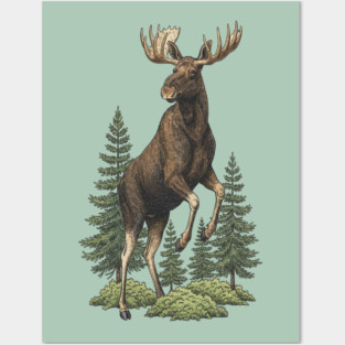 Moose in Forest Wildlife Posters and Art