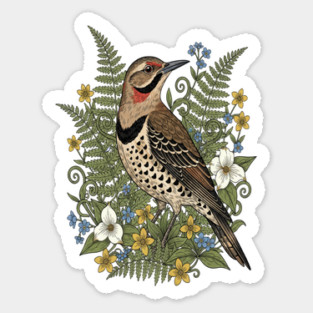 Vintage Northern Flicker Woodpecker and Ferns Magnet